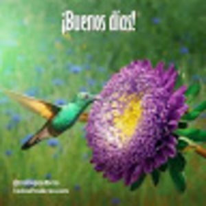 Meet your Posher, Petra